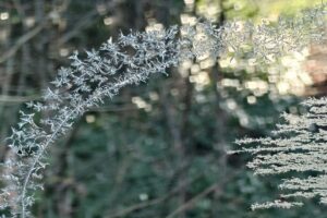 Lire la suite à propos de l’article Concours de photos 2026