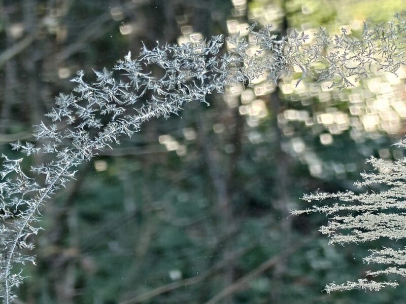 Concours de photos 2026